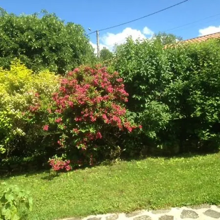 Ferme Restauree Avec Jardin Clos Et Terrasse, Proche Puy En Velay - Fr-1-582-271 Prázdninový dům Le Monastier sur Gazeille