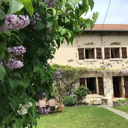 Ferme Restauree Avec Jardin Clos Et Terrasse, Proche Puy En Velay - Fr-1-582-271 Country house *