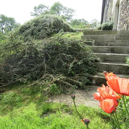 Ferme Restauree Avec Jardin Clos Et Terrasse, Proche Puy En Velay - Fr-1-582-271